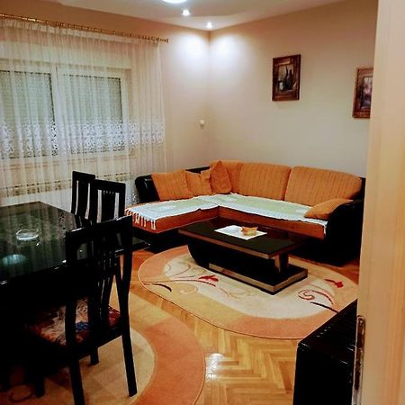 Stan Na Dan J & M Apartment Vrsac Luaran gambar